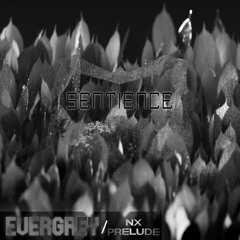 Sentience - Evergrey