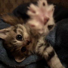 save