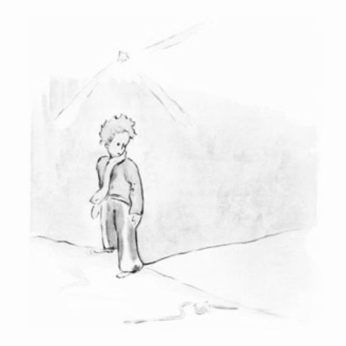 On est seuls aussi chez les hommes