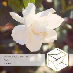 SINKin & DJ Classbuse - Zhizi (Original Mix)