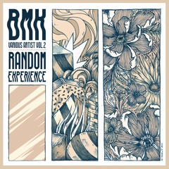 PREMIERE: Sauna - Randomized Experience (Original Mix) [BMK]