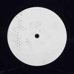 GUNMAN - CJP