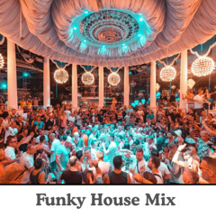 Funky House Mix ( November 2025 )