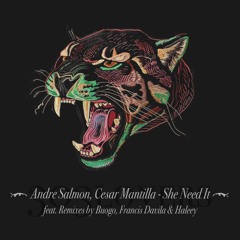 Andre Salmon, Cesar Mantilla - She Need It