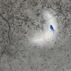 من أناشيد سعد الغامدي