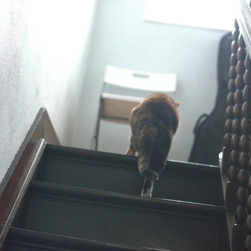 Project 32 (wanderlust)