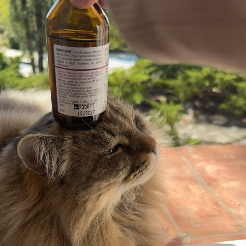 u will not be forgotten