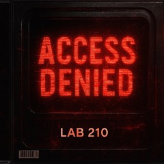 ACCESS DENIED (Demo)