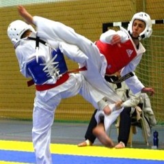 Taekwondo šampion