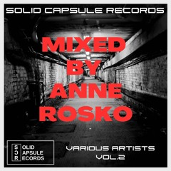 VA. Vol. 2 Mixed by Anne Rosko