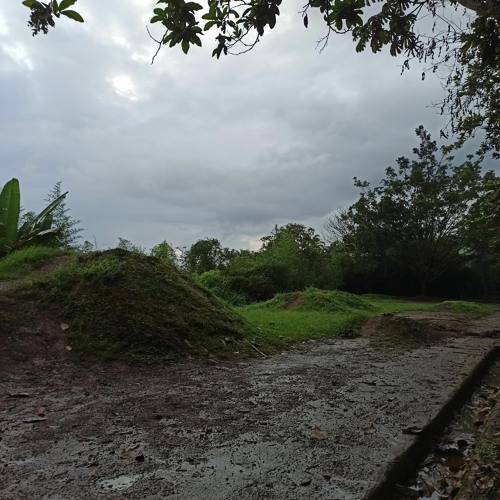 Reggae para fumar Marihuana (Mix)