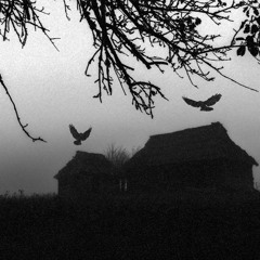 They Returned In The Night