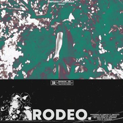 $IMPLEX$ ft SNOTAZED - RODEO Prod. Wisnands