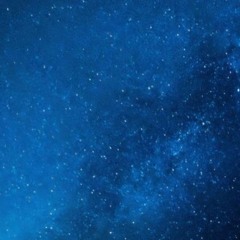 Martin Bird - Override