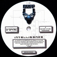 D'Spyre - A Secure Future
