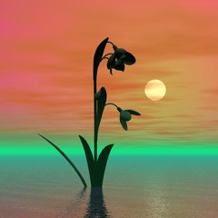 dance music enthusiast