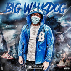 Big WalkDog - Circle K (Official Music Video)