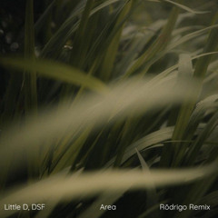 Little D, DSF - Area (Rōdrigo Remix)