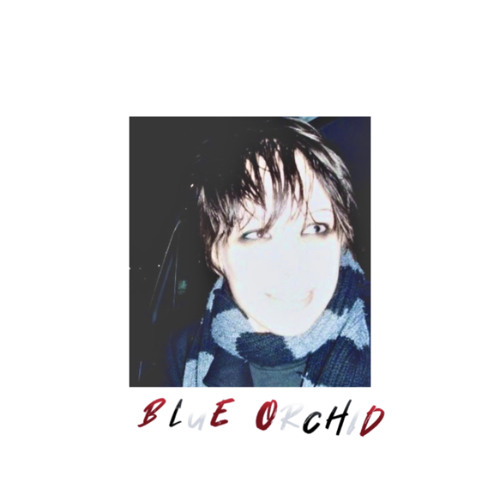 Stream Blue orchid//the white stripes(sped up) by Ghost fox 116