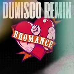 Tim Berg x Avicii - Seek Bromance (Dunisco Remix)
