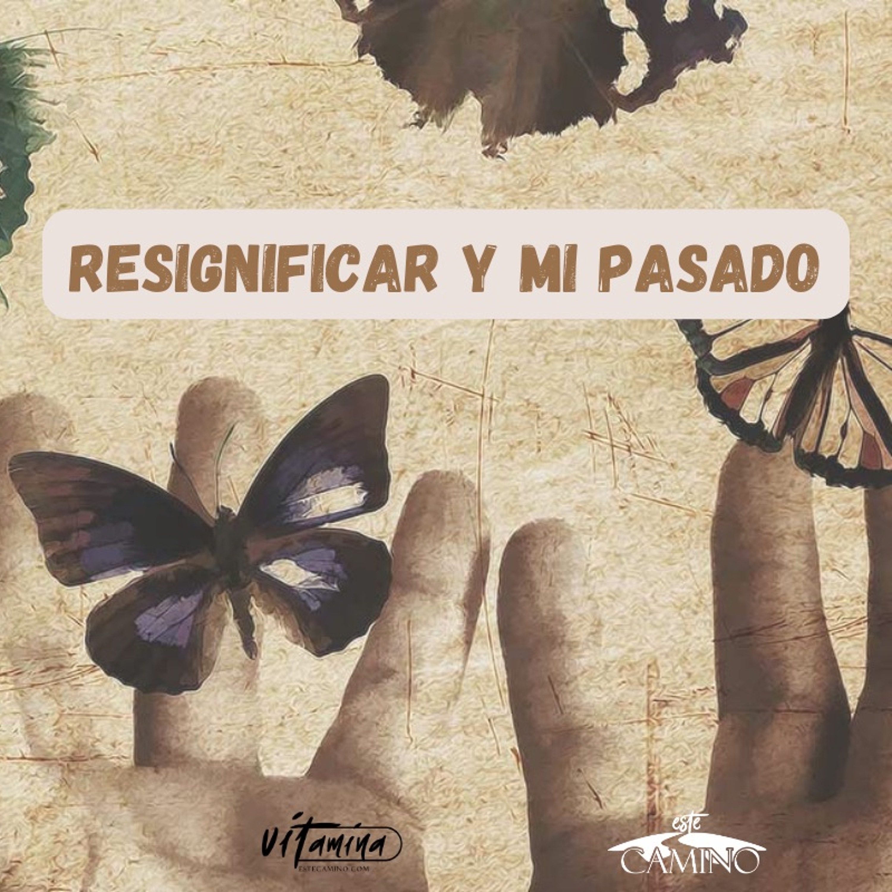 Resignificar y mi pasado 3de5, Emilia episode artwork