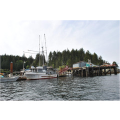 Funding For The Whaletown Dock's Coming Facelift, & Aug 30 Dockswap