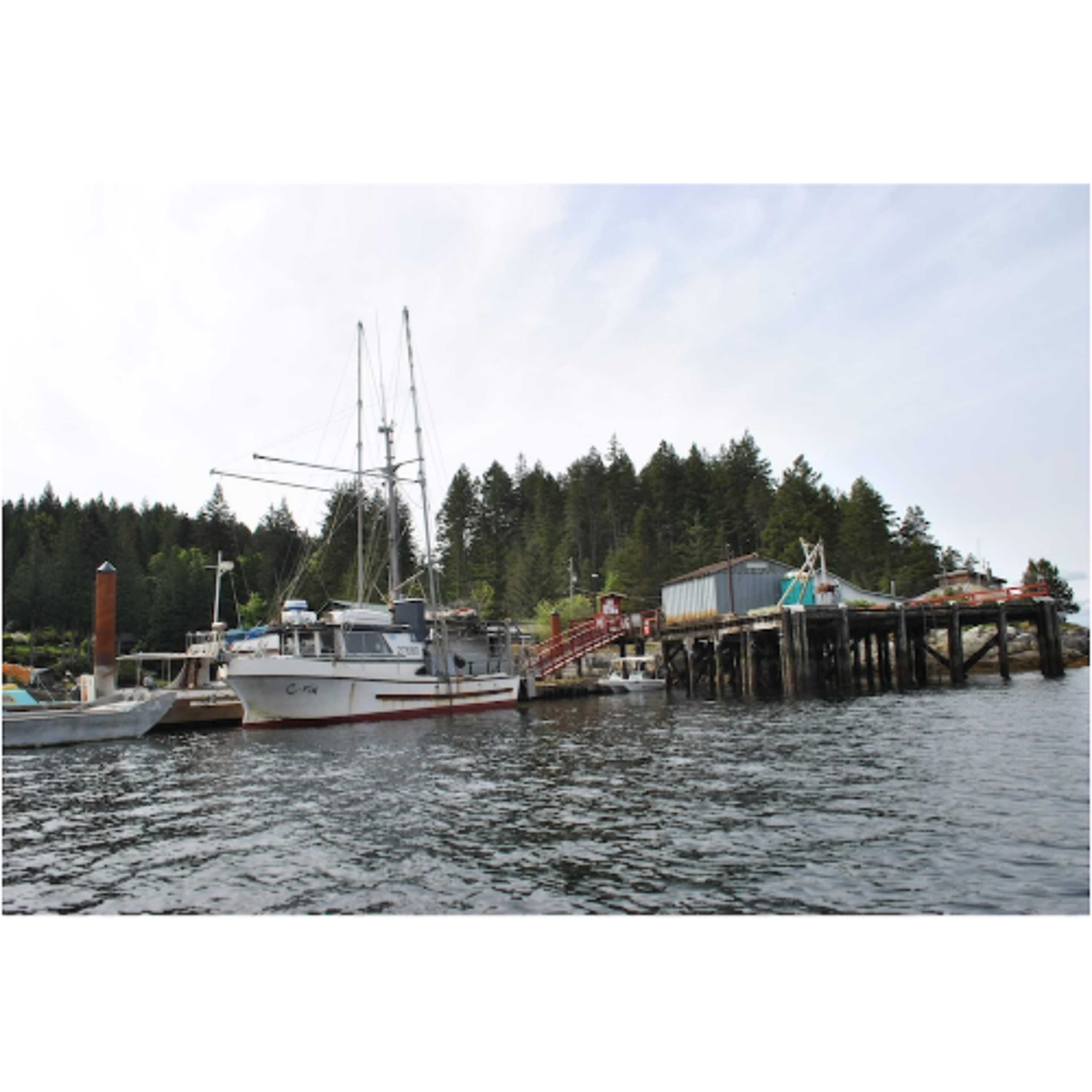 Funding For The Whaletown Dock's Coming Facelift, & Aug 30 Dockswap