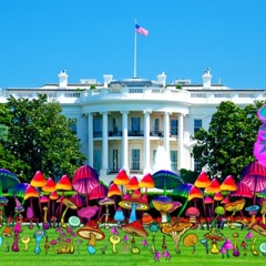 Wub House Press Secretary