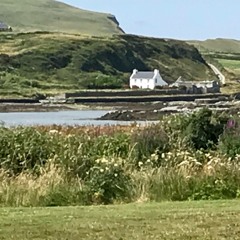 Whiskey in this Town