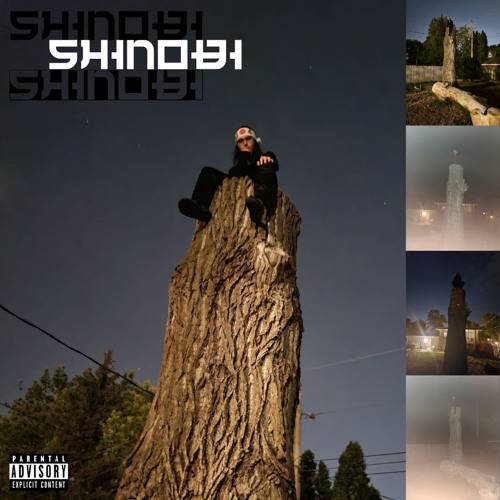 Shinobi