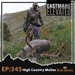 Episode 345:  High Country Mulies Solo With Brian Barney
