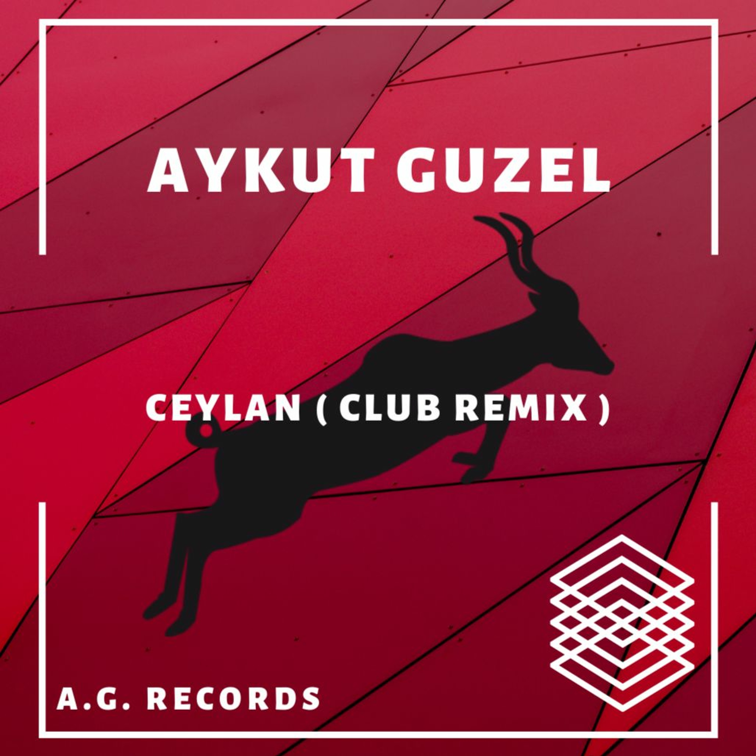 Aykut Güzel