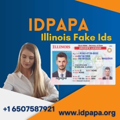 Windy City Wonders The Ultimate Illinois Fake IDs By IDPAPA