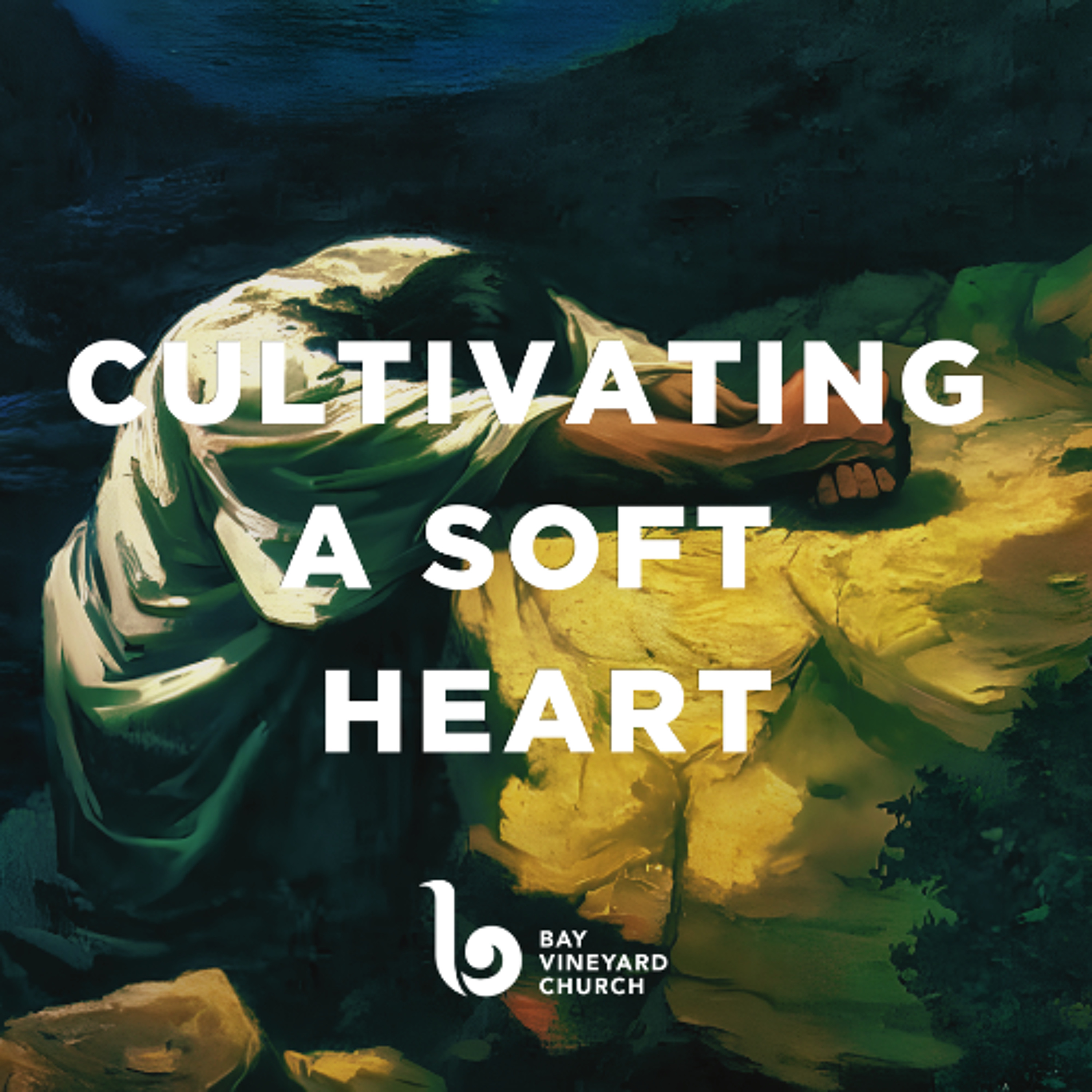 Sunday 17th May // Cultivating a Soft Heart