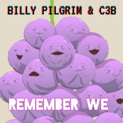 Billy Pilgrim + C3B - Remember We (FREE DL)