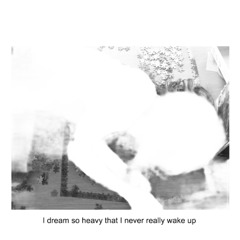 whatsthedeal (Prod #J20)