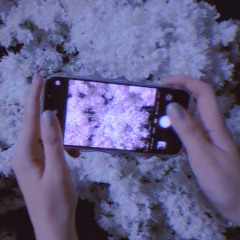 tonight(daydream remix)