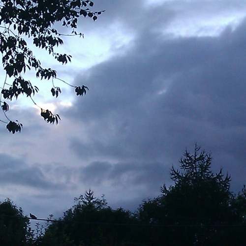 Storm Rush