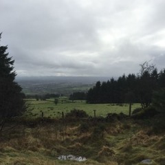 teen vacant - see you this autumn (September 2024)