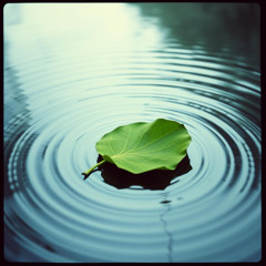 A Leaf of Hope (Daun Harapan) Bahasa Indonesia Remix