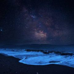 PARADISE