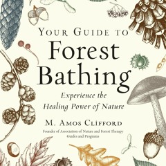 PDF READ Your Guide to Forest Bathing (Expanded Edition): Experience the Healing