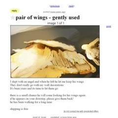 *pair of wings - gently used