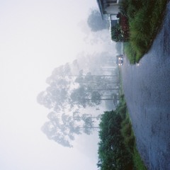 Santa Monica Dream - Angus & Julia Stone (Cover)