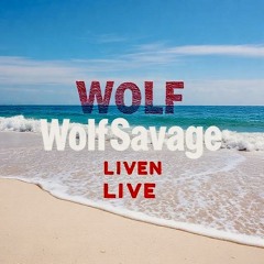 Wolf corral – Deep remix B2b remix(Tech House : Night Vibes).mp3