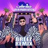 LMFAO - I'm In Miami Bitch (Breez Remix)