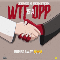 2 X RTK - wtf is a opp