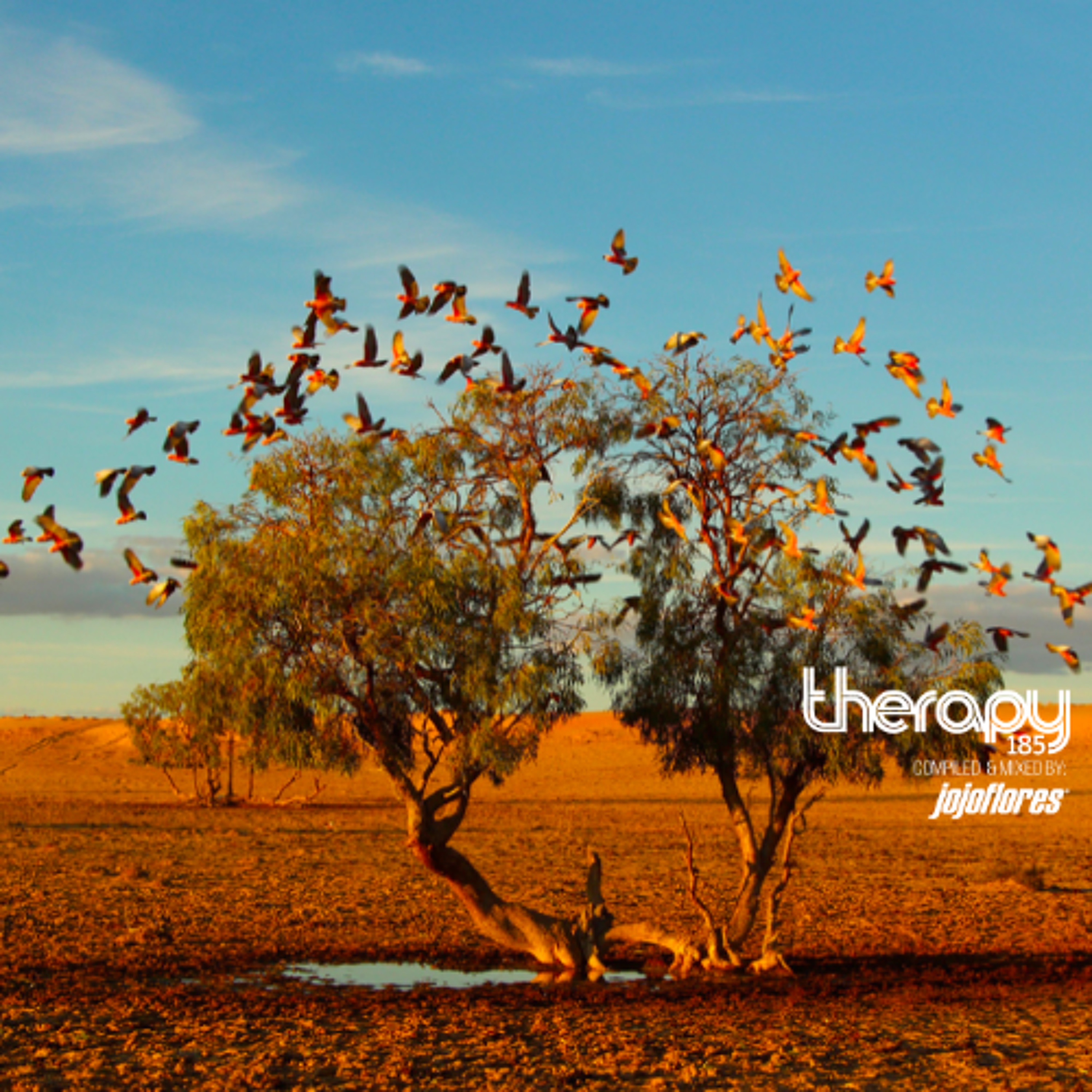 Therapy 185 Afro Deep episode artwork