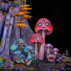 mushroom spirit