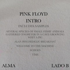 Pink Floyd Intro Alma B (Includes samples by several especies,alan psychedelic breakfast,echoes,time